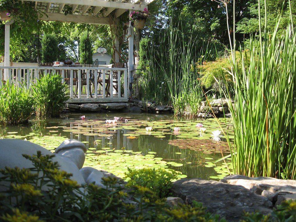 Carrousel Bed & Breakfast Cayuga Esterno foto