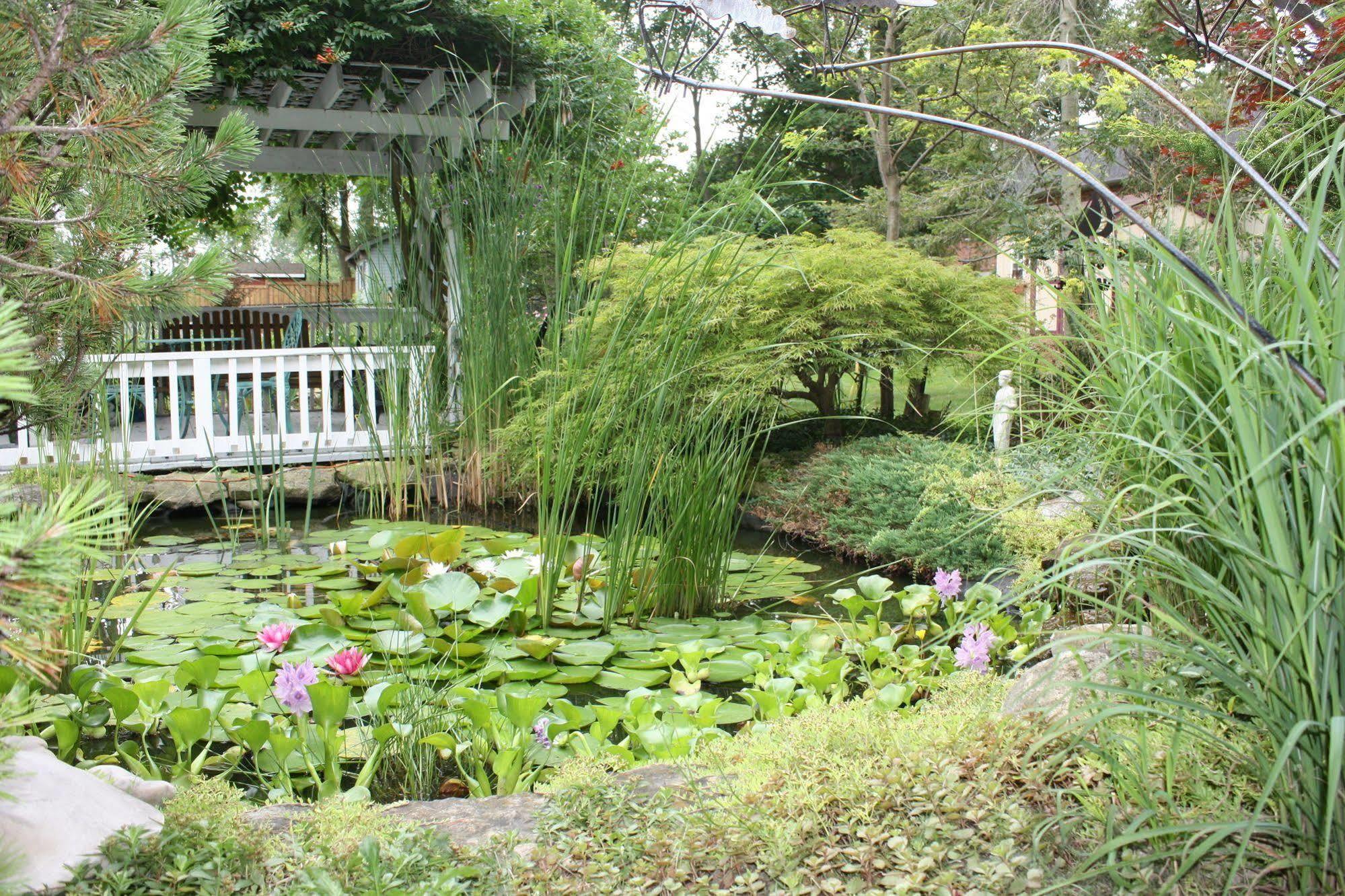 Carrousel Bed & Breakfast Cayuga Esterno foto